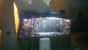 San Lussorio | Martire - presepe_san_lussorio_2017